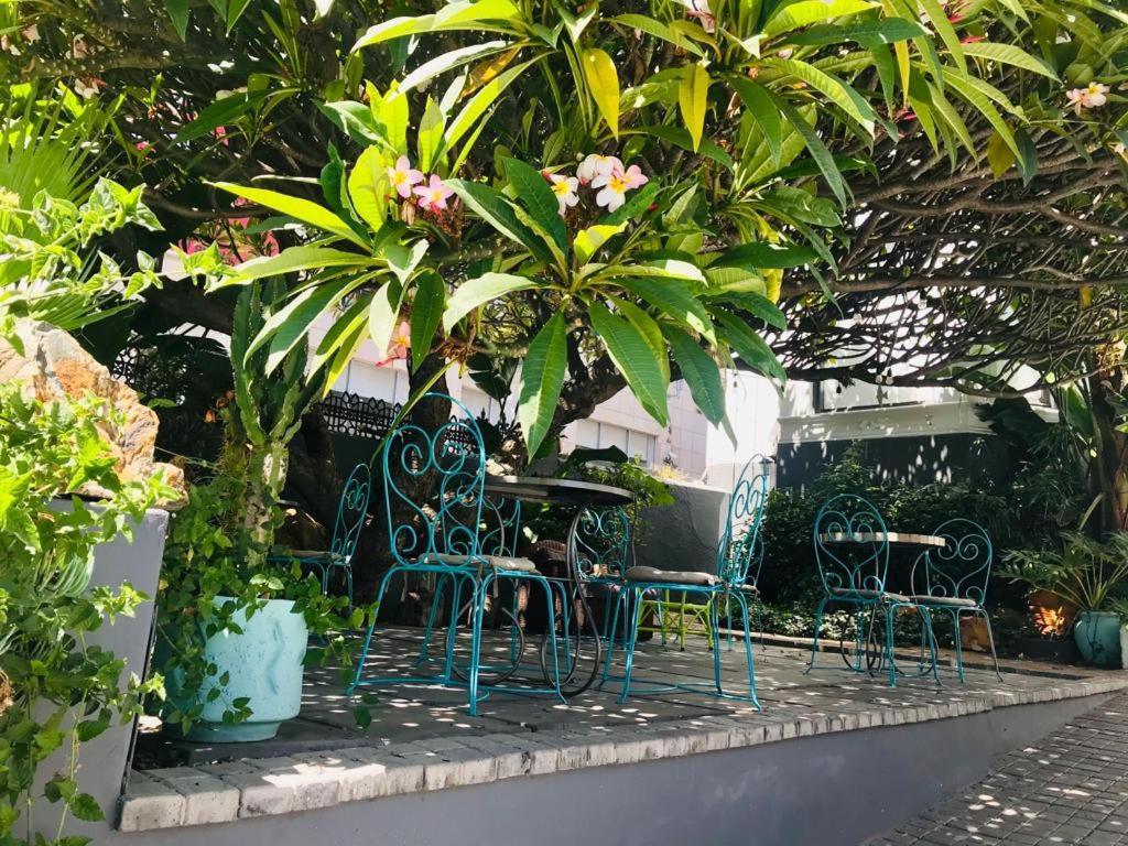 MOY Guesthouse Le Cap Extérieur photo